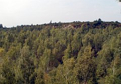 IMG_x18064_X44_P09010629_cr