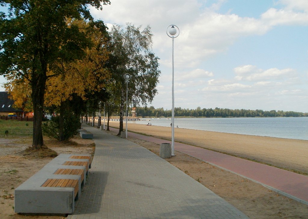 X44_P09150044_cr.jpg