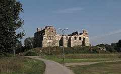 IMG_x20188_cr