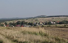 IMG_x20512_cr