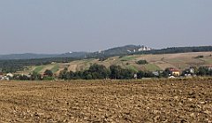 IMG_x20538_cr