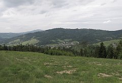 IMG_x25413_cr