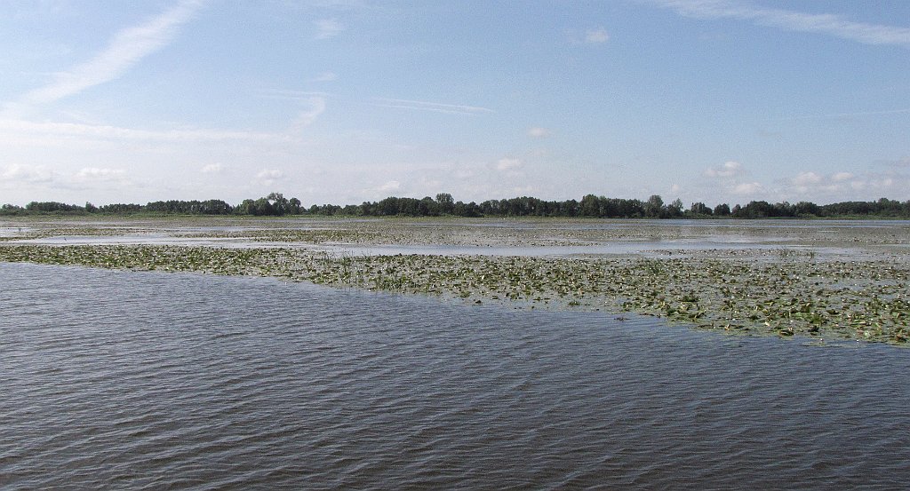 2012-07-02_09-23-21_IMG_x26752_cr.jpg -                                