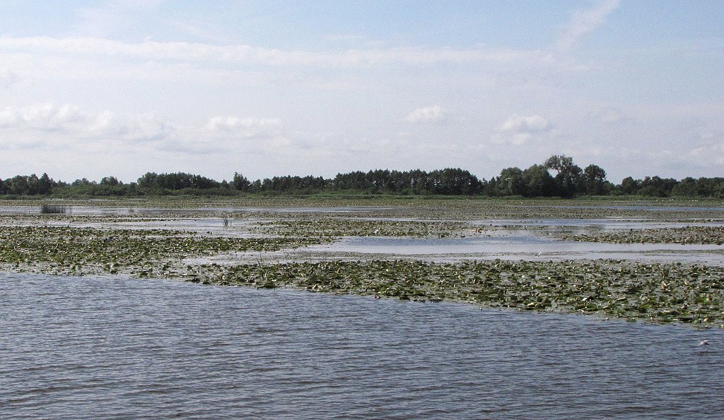 2012-07-02_09-23-29_IMG_x26753_cr.jpg -                                