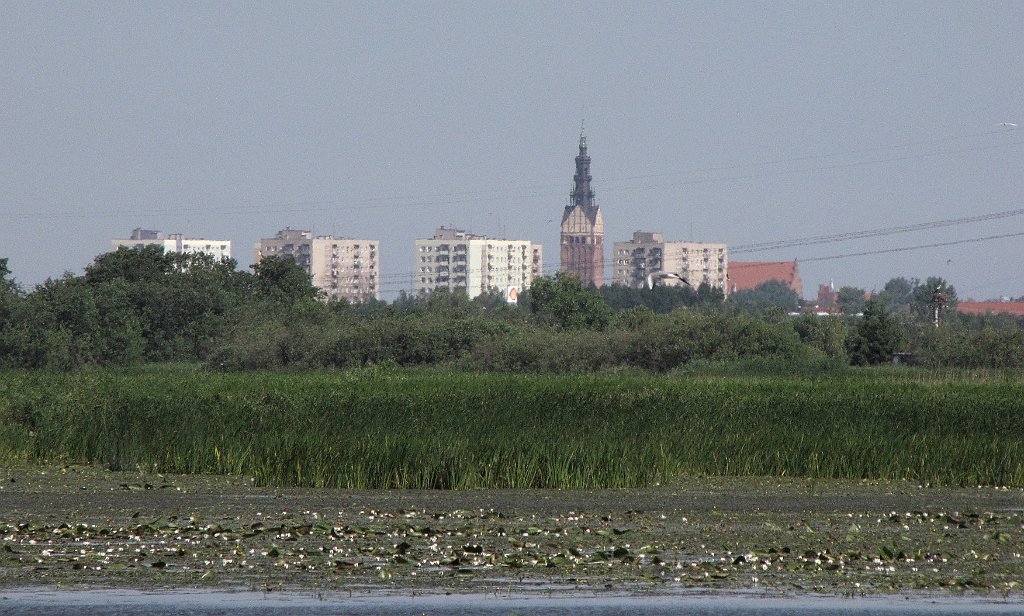 2012-07-02_09-25-36_IMG_x26782_cr.jpg -                                