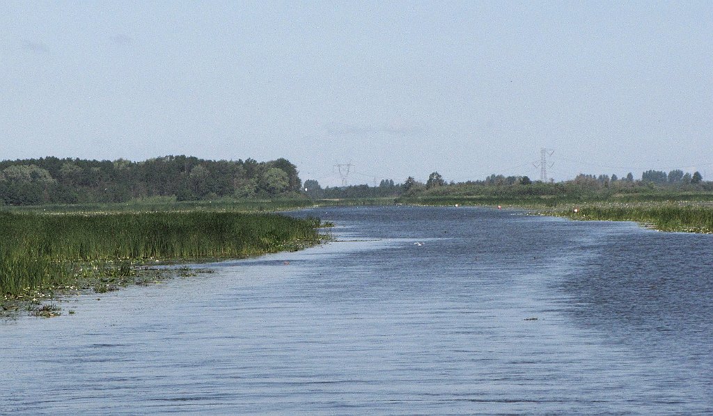 2012-07-02_09-33-27_IMG_x26803_cr.jpg -                                