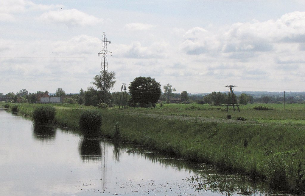 2012-07-02_10-15-38_IMG_x26809_cr.jpg -                                