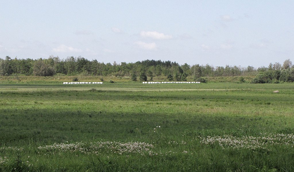 2012-07-02_10-15-56_IMG_x26810_cr.jpg -                                