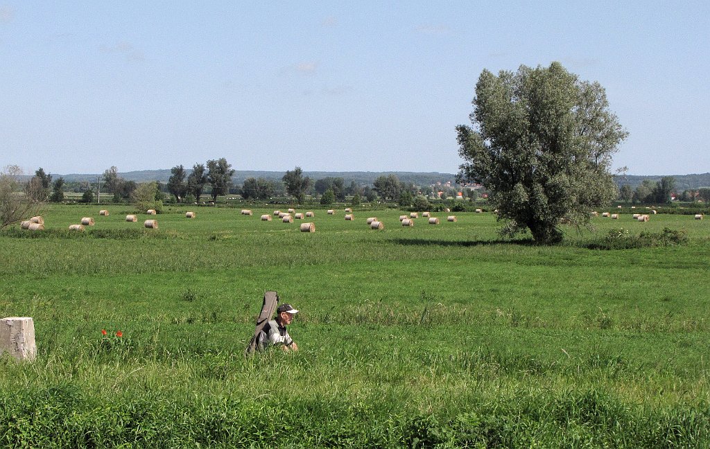 2012-07-02_10-20-25_IMG_x26818_cr.jpg -                                