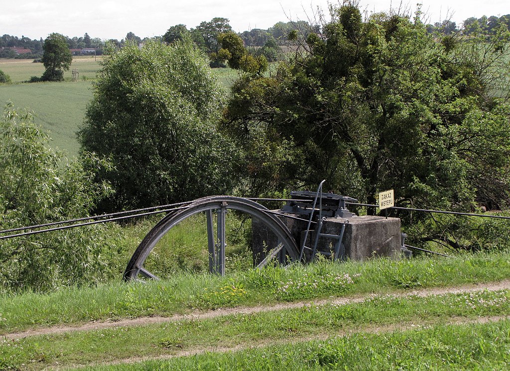 2012-07-02_11-01-25_IMG_x26895_cr.jpg -                                