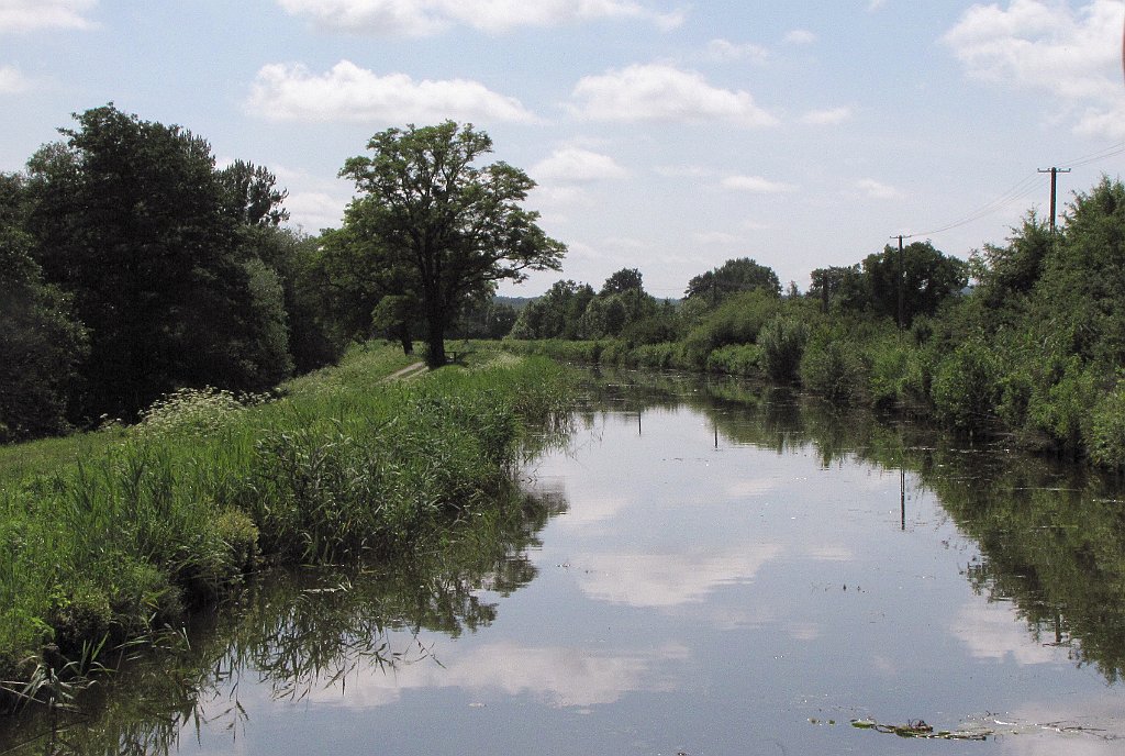 2012-07-02_11-03-07_IMG_x26901_cr.jpg -                                