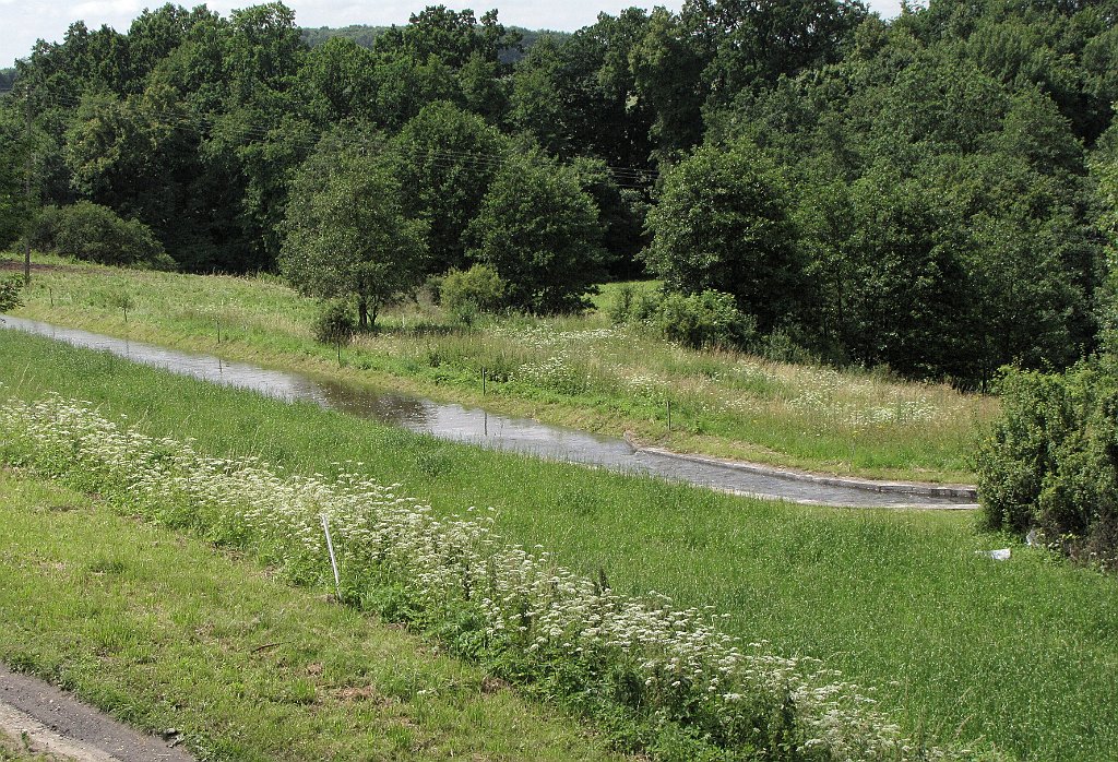 2012-07-02_11-59-06_IMG_x26988_cr.jpg -                                