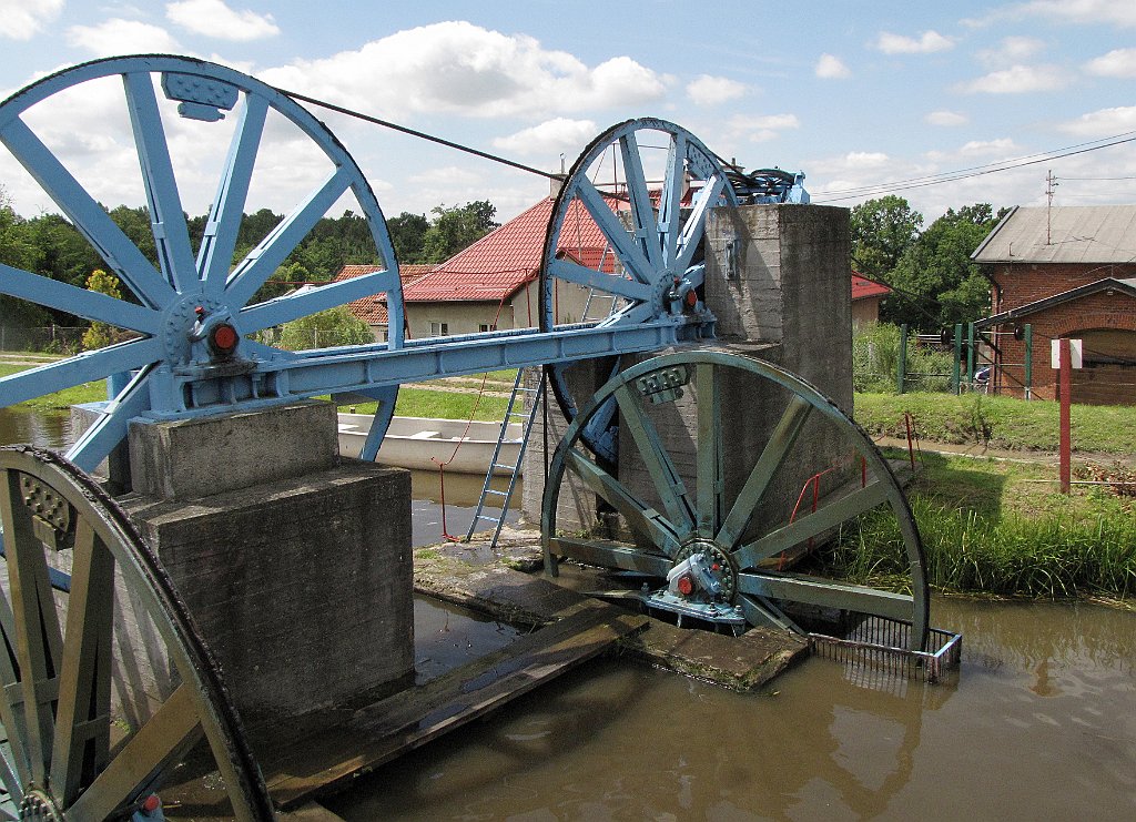 2012-07-02_12-03-06_IMG_x26998_cr.jpg -                                