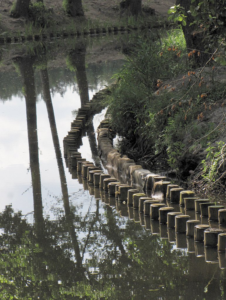 2012-07-02_15-26-30_IMG_x27076_cr.jpg -                                