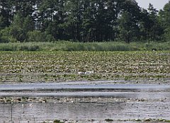 2012-07-02_09-24-12_IMG_x26762_cr