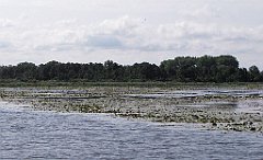 2012-07-02_09-24-22_IMG_x26763_cr