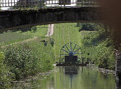 2012-07-02_11-10-52_IMG_x26921_cr