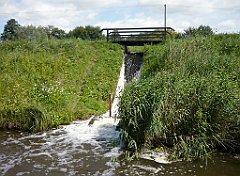 2012-07-02_11-17-00_P1060095_cr