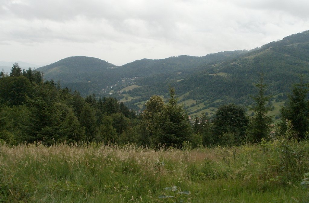 X44_P07130171_cr.jpg - OLYMPUS DIGITAL CAMERA         