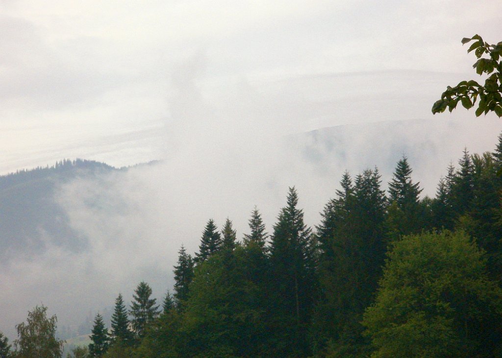 IMG_x28736_X44_P07300004_cr.jpg - OLYMPUS DIGITAL CAMERA         