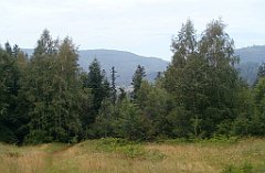 IMG_x28736_X44_P07300002_cr