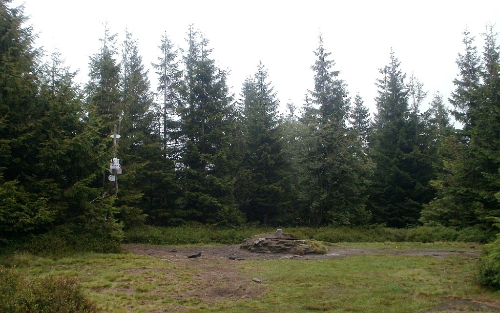 IMG_x29812_X44_P08150241_cr.jpg - OLYMPUS DIGITAL CAMERA         