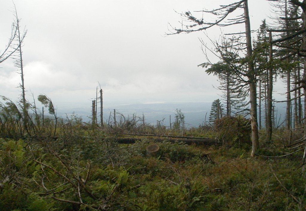 IMG_x29814_X44_P08150247_cr.jpg - OLYMPUS DIGITAL CAMERA         