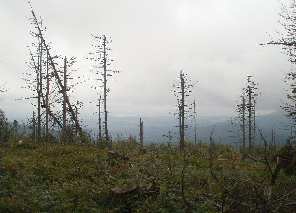 IMG_x29814_X44_P08150253_cr.jpg - OLYMPUS DIGITAL CAMERA         