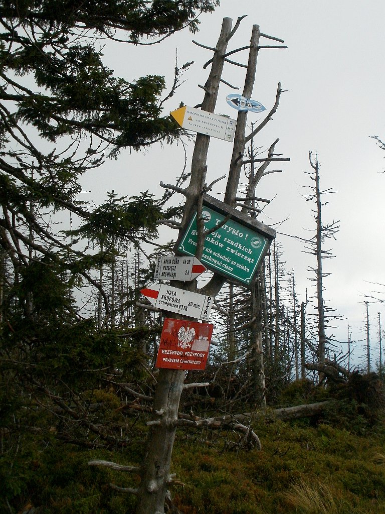 IMG_x29814_X44_P08150265_cr.jpg - OLYMPUS DIGITAL CAMERA         