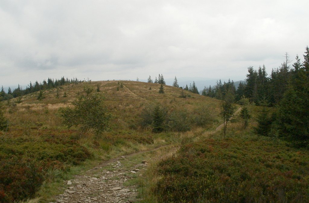 IMG_x29814_X44_P08150279_cr.jpg - OLYMPUS DIGITAL CAMERA         