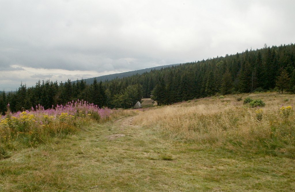 IMG_x29814_X44_P08150308_cr.jpg - OLYMPUS DIGITAL CAMERA         