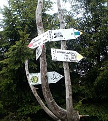 IMG_x29812_X44_P08150243_cr