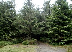 IMG_x29812_X44_P08150245_cr