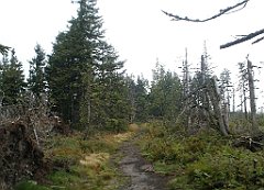 IMG_x29814_X44_P08150251_cr