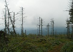 IMG_x29814_X44_P08150255_cr