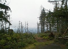 IMG_x29814_X44_P08150257_cr