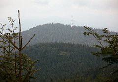 IMG_x29814_X44_P08150274_cr