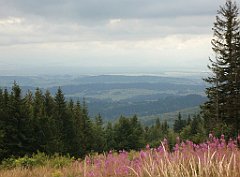 IMG_x29814_X44_P08150293_cr