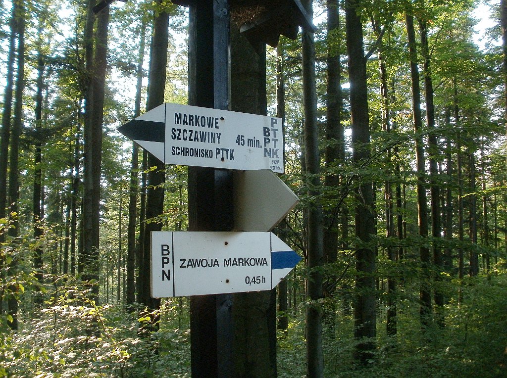 X44_P08230345_cr.jpg - OLYMPUS DIGITAL CAMERA         