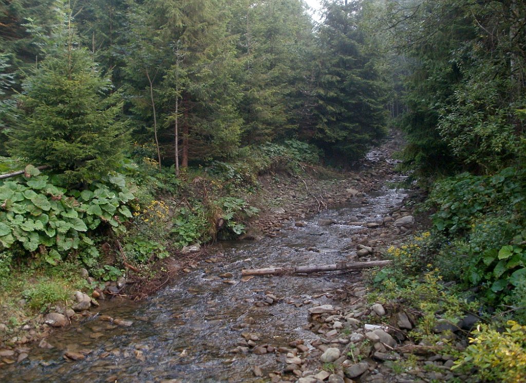 X44_P08230353_cr.jpg - OLYMPUS DIGITAL CAMERA         