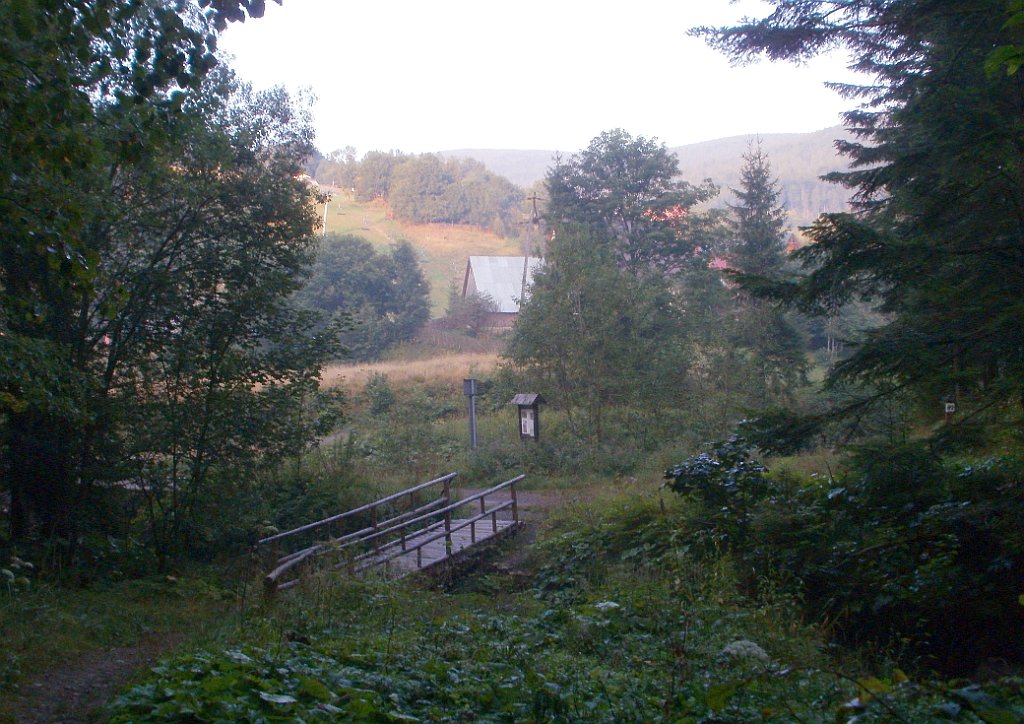 X44_P08230354_cr.jpg - OLYMPUS DIGITAL CAMERA         