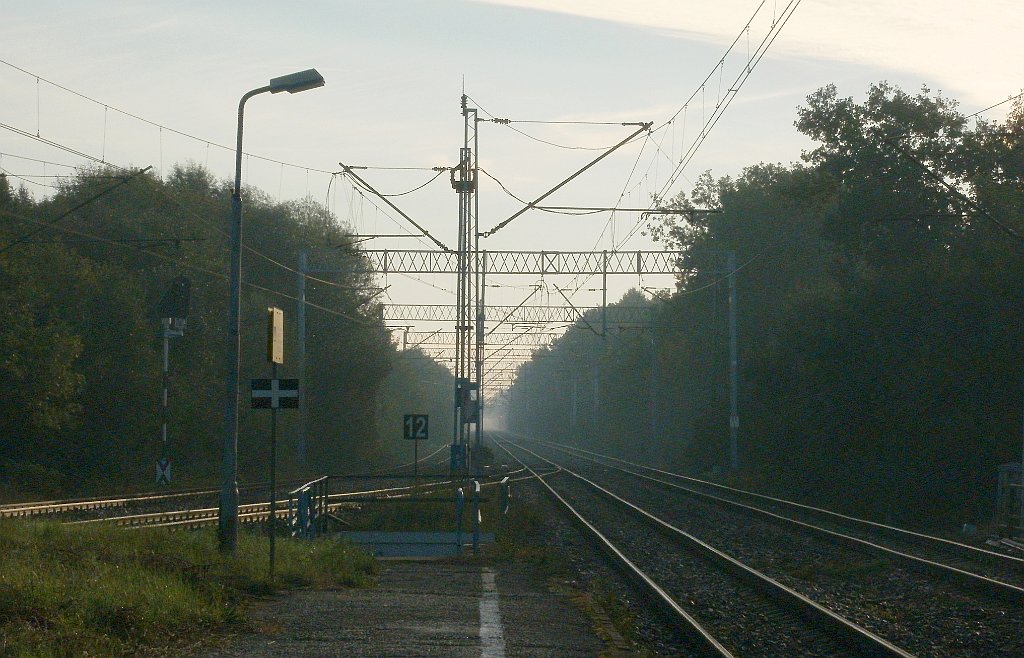 IMG_x33700_X44_P09230842_cr.jpg - OLYMPUS DIGITAL CAMERA         