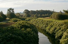 IMG_x33700_X44_P09230867_cr