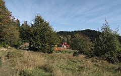 IMG_x34796_cr