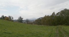 IMG_x35159_X44_P10010887_cr