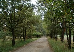 2012_08_29_Bibiela_Koszecin