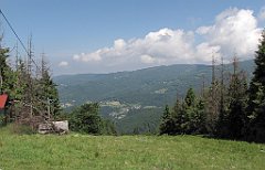 IMG_x40194_cr