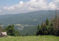 IMG_x40195_cr