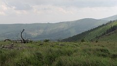 IMG_x40301_cr