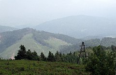 IMG_x40630_cr